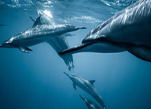 星空体育官网：拥抱激情与专业的线上体育家园